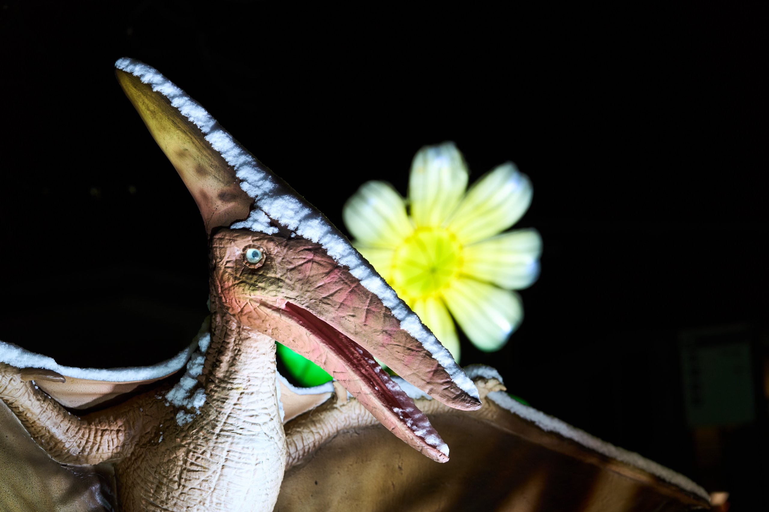 2026 01 05 China Lights 0246